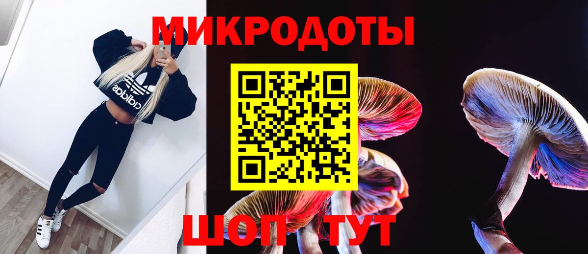 Галлюциногенные грибы Psilocybine cubensis  Вход с VPN  Заводоуковск 